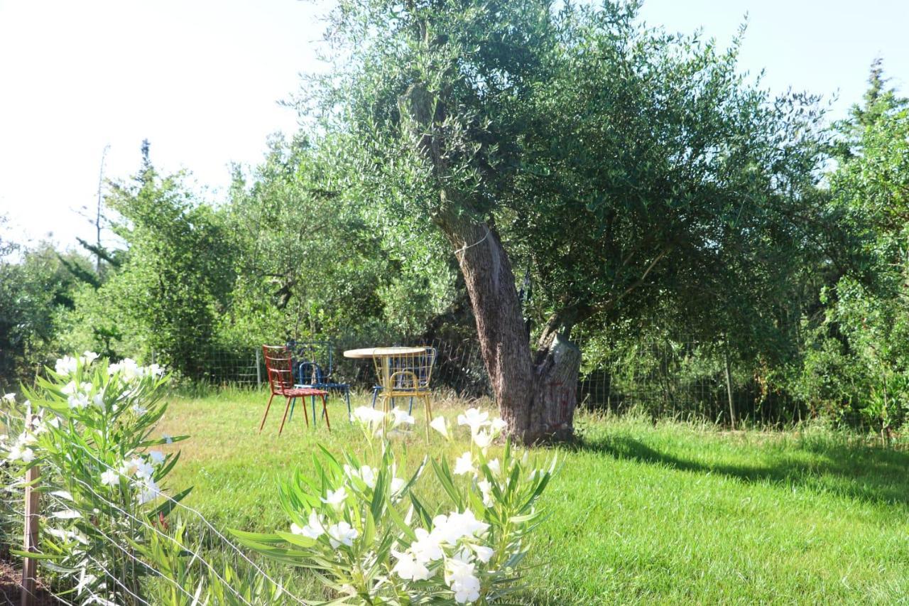 Essos Villas Дермі Екстер'єр фото